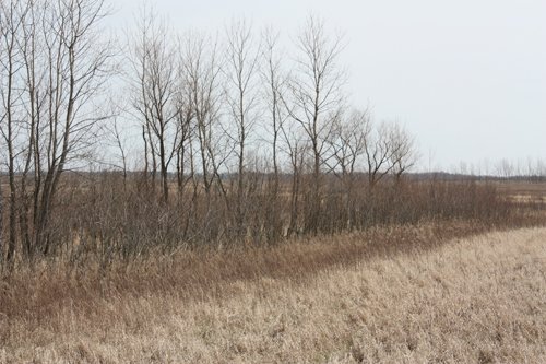Property photo 11 - 194.67 Acres Offered in 2 Tracts